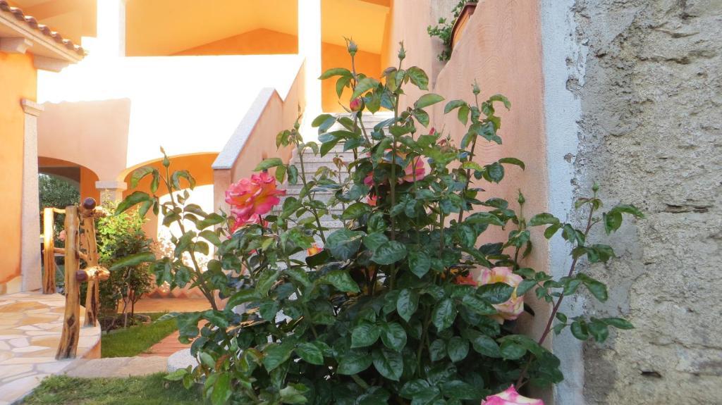 Hotel Il Viandante San Teodoro  Zewnętrze zdjęcie